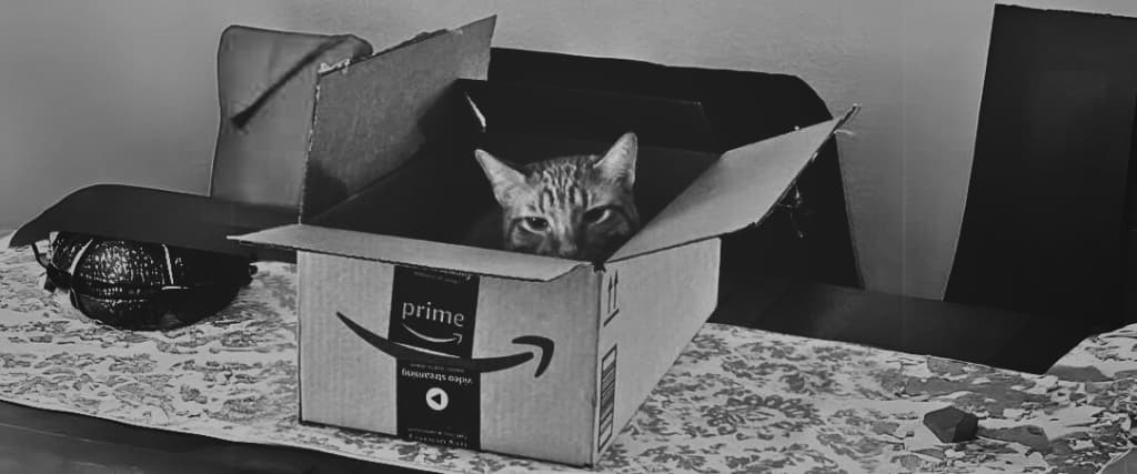 HOW TO UNSUBSCRIBE FROM AMAZON PRIME AUSTRALIA