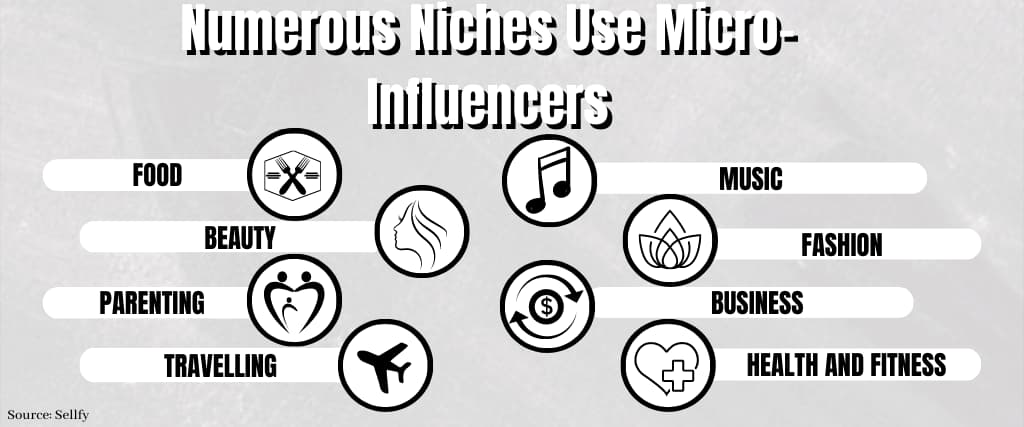 Numerous Niches Use Micro-Influencers