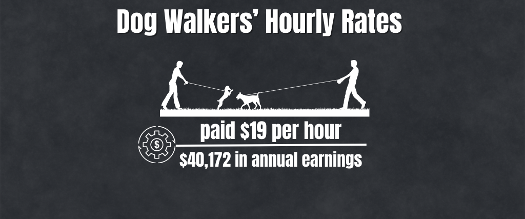 Dog Walkers’ Hourly Rates