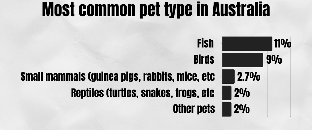 Most common pet type in Australia