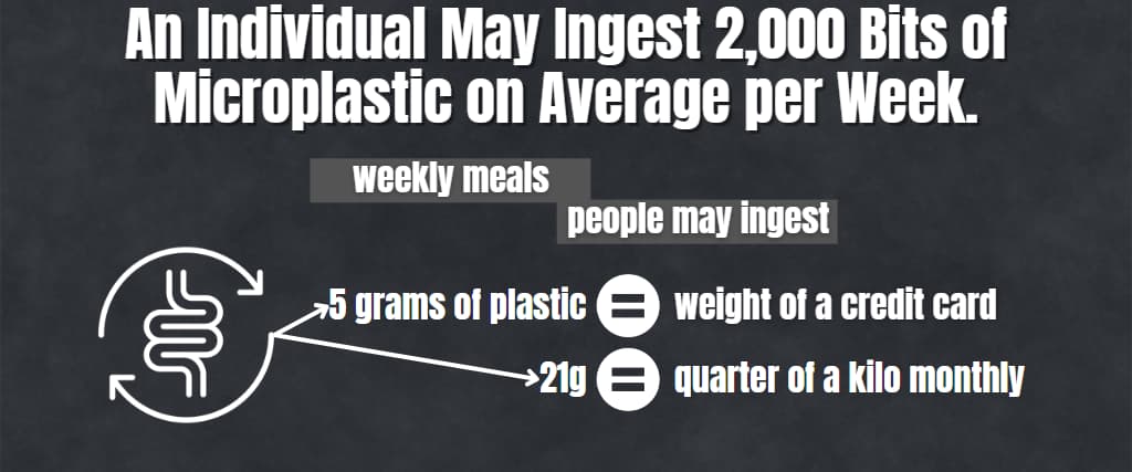An Individual May Ingest 2,000 Bits of Microplastic on Average per Week.