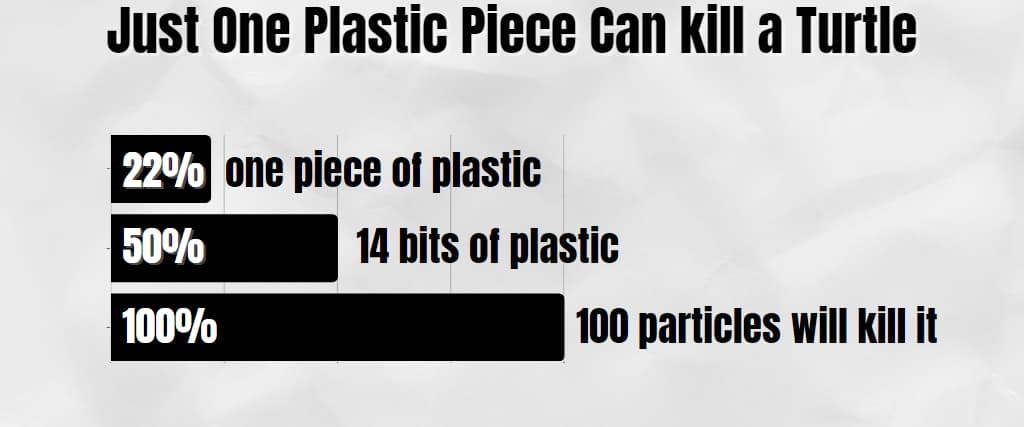 Just One Plastic Piece Can kill a Turtle