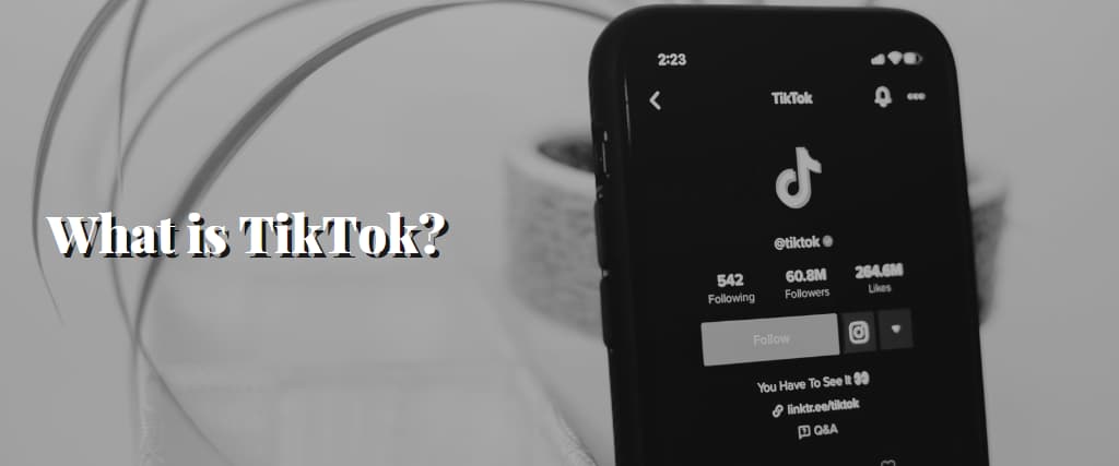 What Is TikTok 