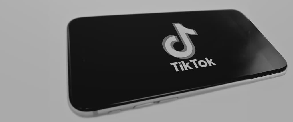 TIKTOK NET WORTH.