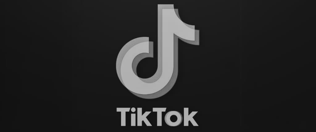 TIKTOK NET WORTH.