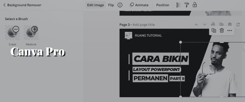 Canva Pro