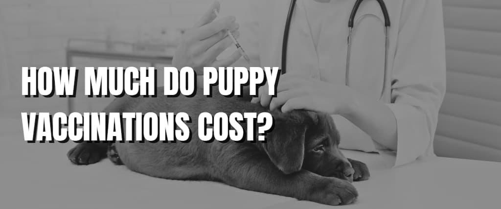 HOW MUCH DO PUPPY VACCINATIONS COST