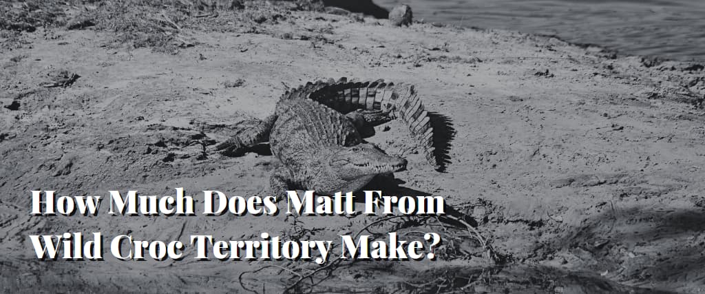 How Much Does Matt From Wild Croc Territory Make
