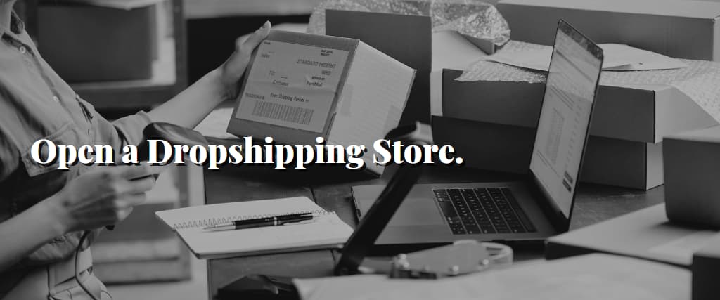 Open a Dropshipping Store.