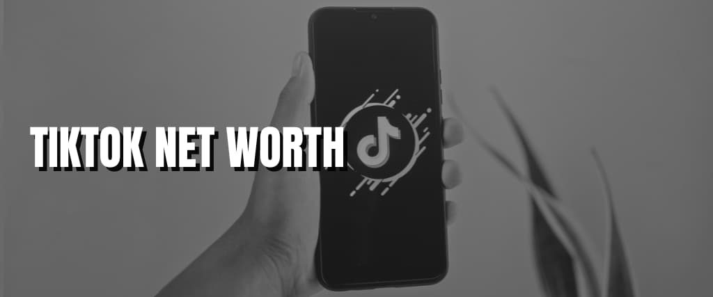 TIKTOK NET WORTH.