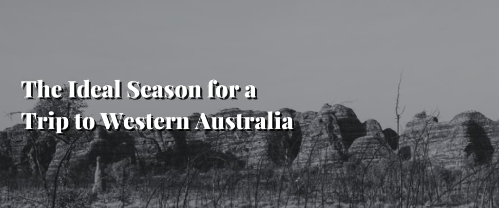 The Ideal Season for a Trip to Western Australia