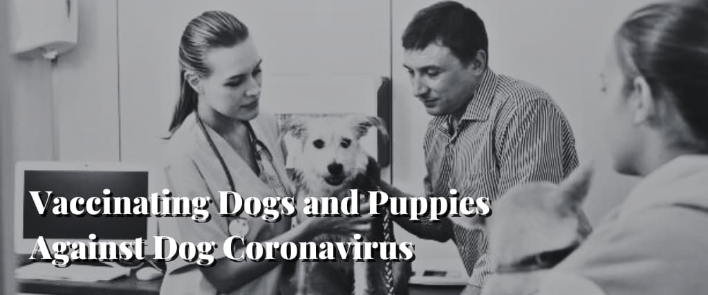 Vaccinating Dogs and Puppies Against Dog Coronavirus