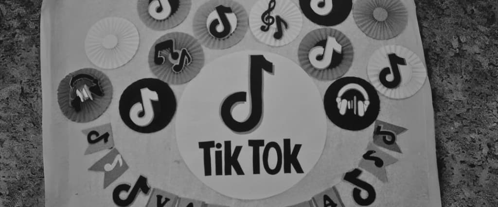 TIKTOK NET WORTH.