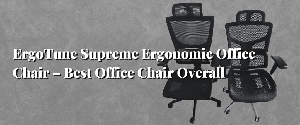 ErgoTune Supreme Ergonomic Office Chair – Best Office Chair Overall