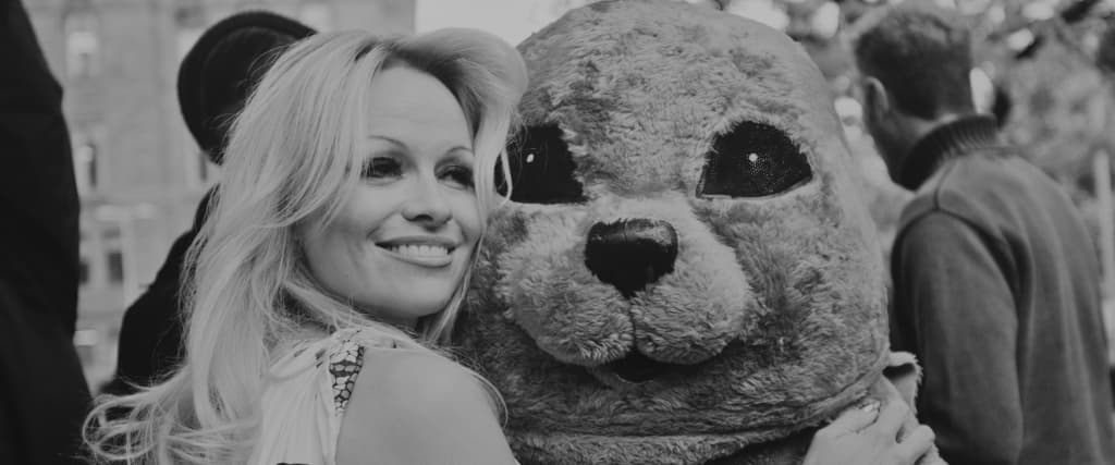 PAMELA ANDERSON NET WORTH 2023