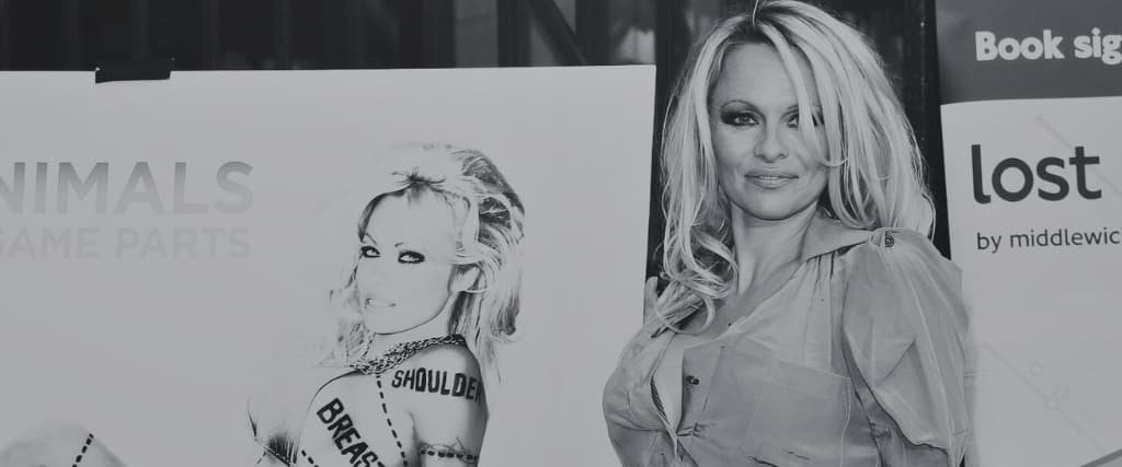 PAMELA ANDERSON NET WORTH 2023