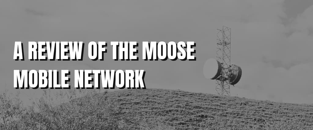 A REVIEW OF THE MOOSE MOBILE NETWORK